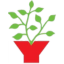 thymes.dk