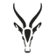 antelope.de