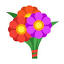 daycamhoa.com