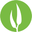 eucalyptmedia.com