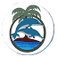 freewillydiving.com