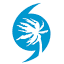 gulfcoastshutter.com