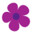 innoflora.hu