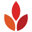 kamukcr.com