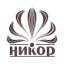 nikor-salon.ru