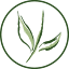 plants-online.nl