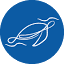 roatandivers.com