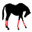 soxforhorses.com