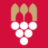 vins-saint-emilion.com