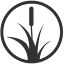 wetlands.com