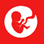 bitlifeapk.net