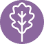 eichefam.net