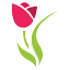 floresnet.com.br