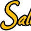 salioudyallo.com