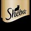 sheba.jp