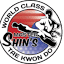 shintkd.com