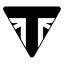 triumphgirona.com