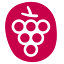 vins-de-fronton.com