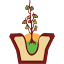 viverolimache.cl