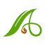 acenetworks.org
