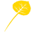 aspenly.com