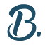 bellecleaningllc.com