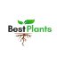 bestplants.ae