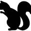 blacksquirreltiming.com