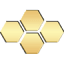 conquerx2.com