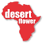 desertflowerfoundation.org