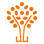 escuelascatolicas.es