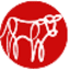 mercasur.net