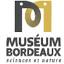 museum-bordeaux.fr