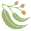 nanyimacare.com.au