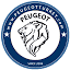 peugeotturkey.com