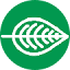 planteea.ro