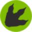 roarr.co.uk