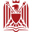swfinstitute.org