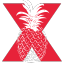 tedxdelraybeach.com