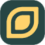 tpriig.pl