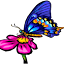 amnhc.com