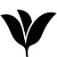 astris.fi