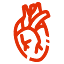 drfernandobeltran.com