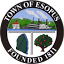 esopus.com