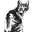 feralcat.com
