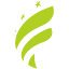 ferretoseguros.com.br