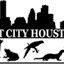 petcityhouston.com