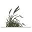 prairiewildlife.com
