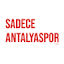 sadeceantalyaspor.com