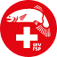 sfv-fsp.ch